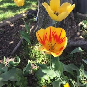 Meet your Posher, Jade